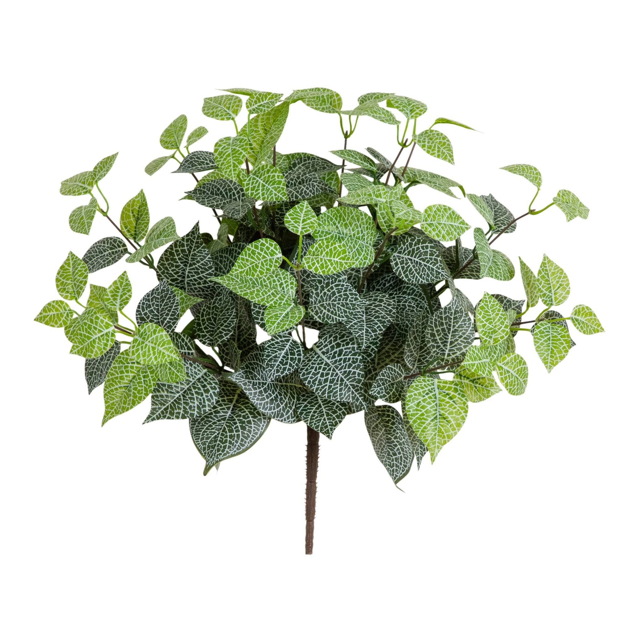 19" UV Resistant Artificial Fittonia Bush (Indoor/Outdoor) - Set of 3